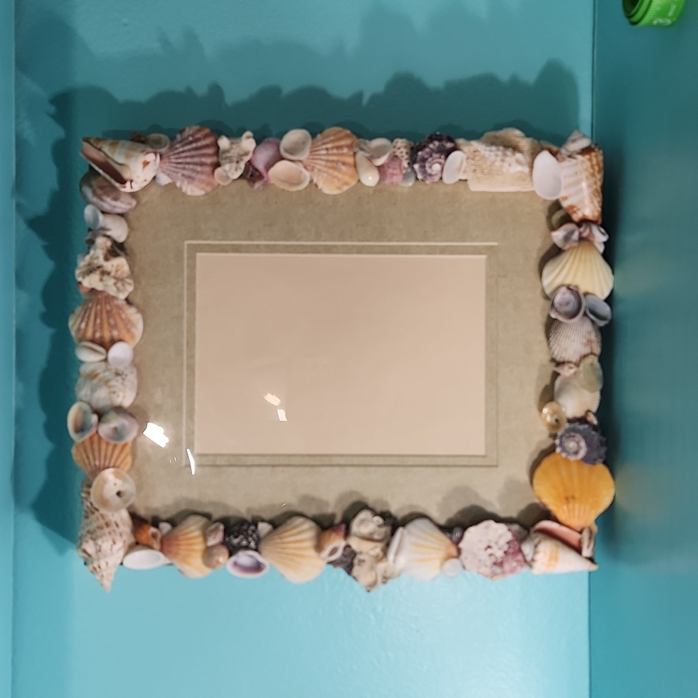 Hand Crafted Sea Shells Picture Frame